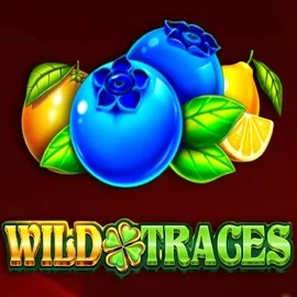 Wild Traces slot visual from Amusnet Interactive available on vegaskaszino.org